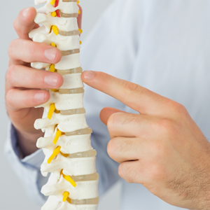 montgomery county chiropractor north wales pa chiropractic care